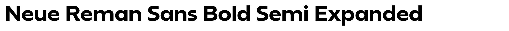 Neue Reman Sans Bold Semi Expanded image